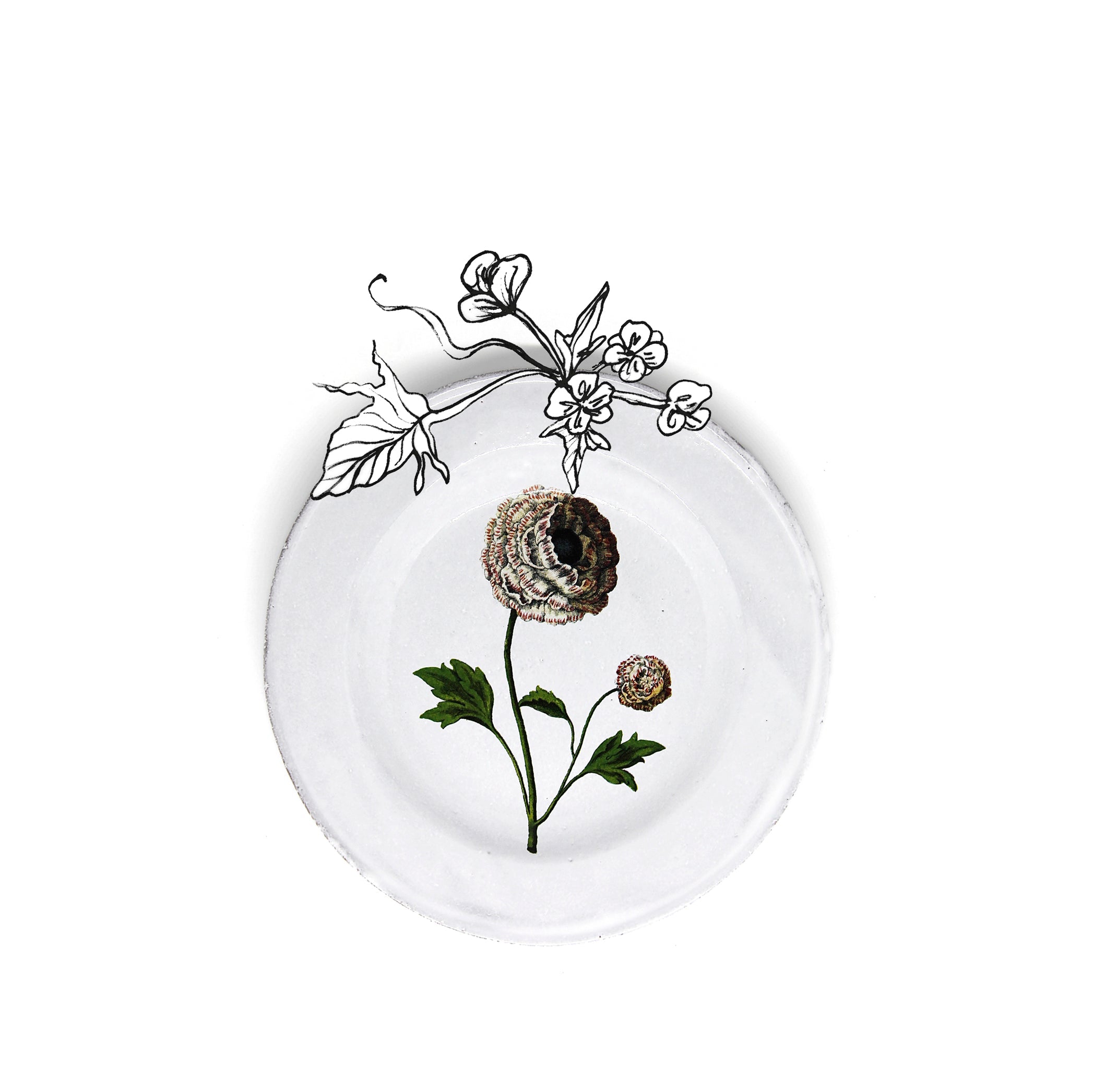 Indian King Ranunculus Plate by Astier de Villatte, 22cm