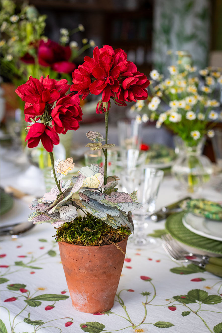 Red Primula World Map Paper Flowers & Clay Pot