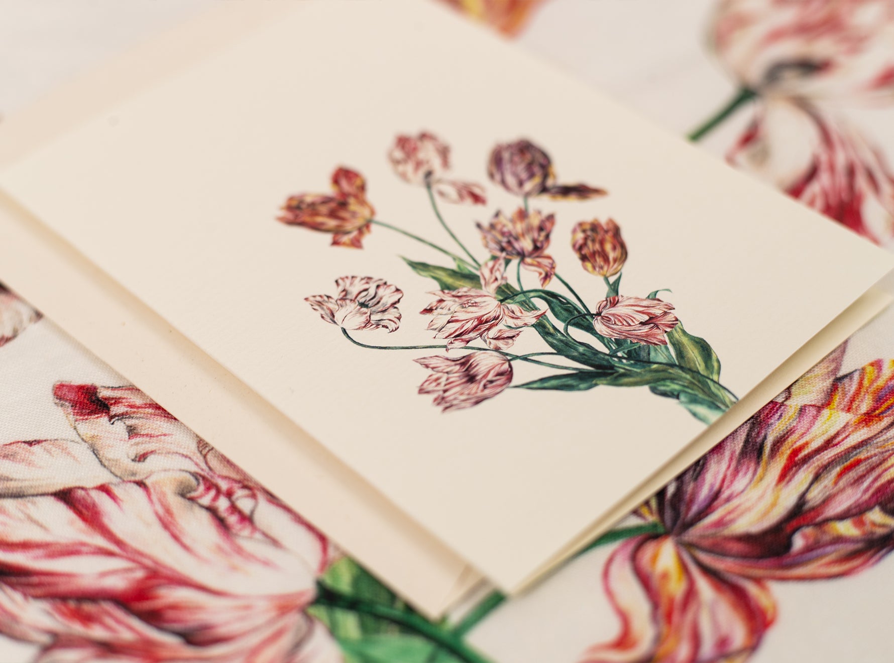 'Tulip' Greeting Card, 15cm x 10cm (A6)