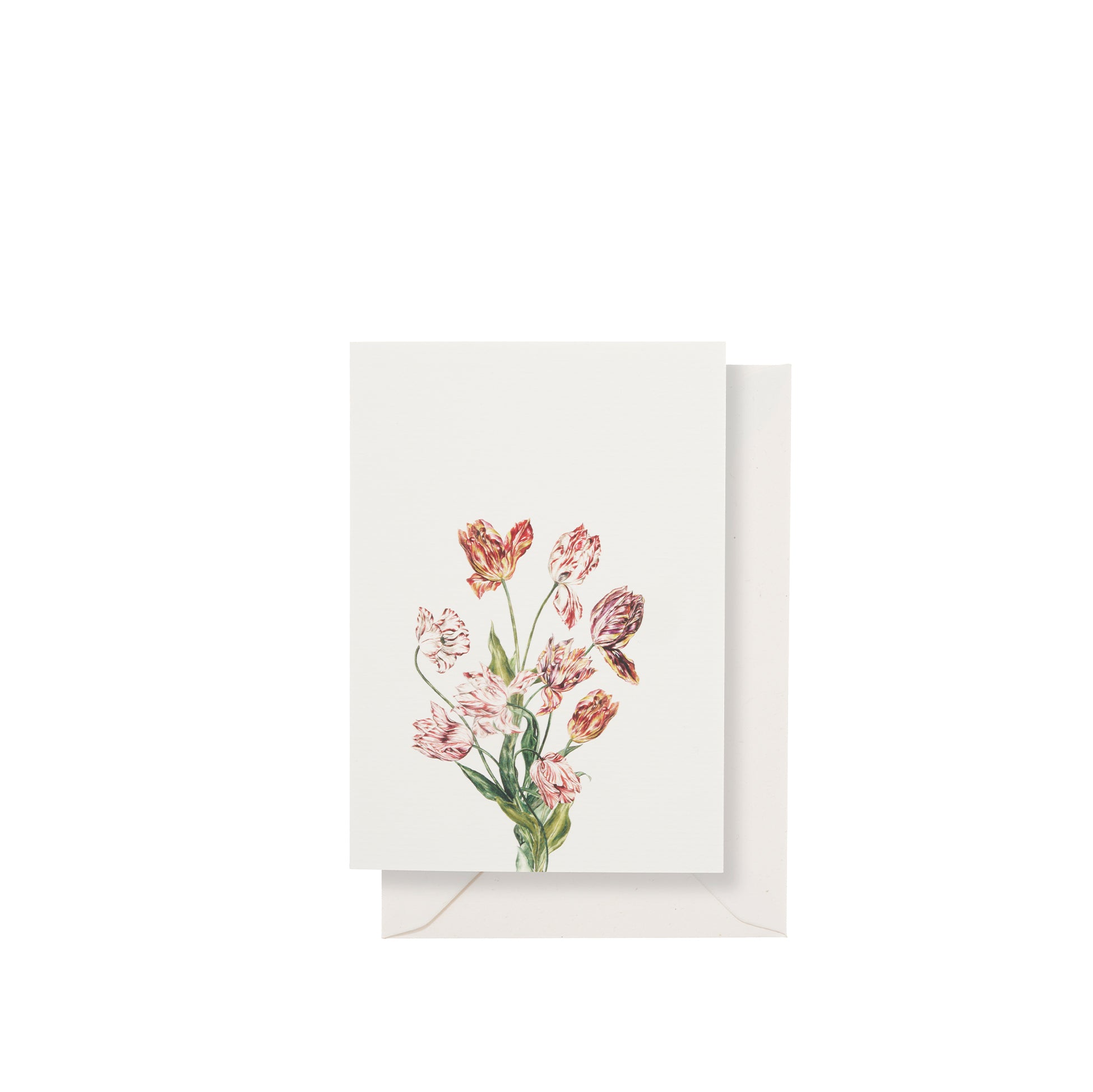 'Tulip' Greeting Card, 15cm x 10cm (A6)