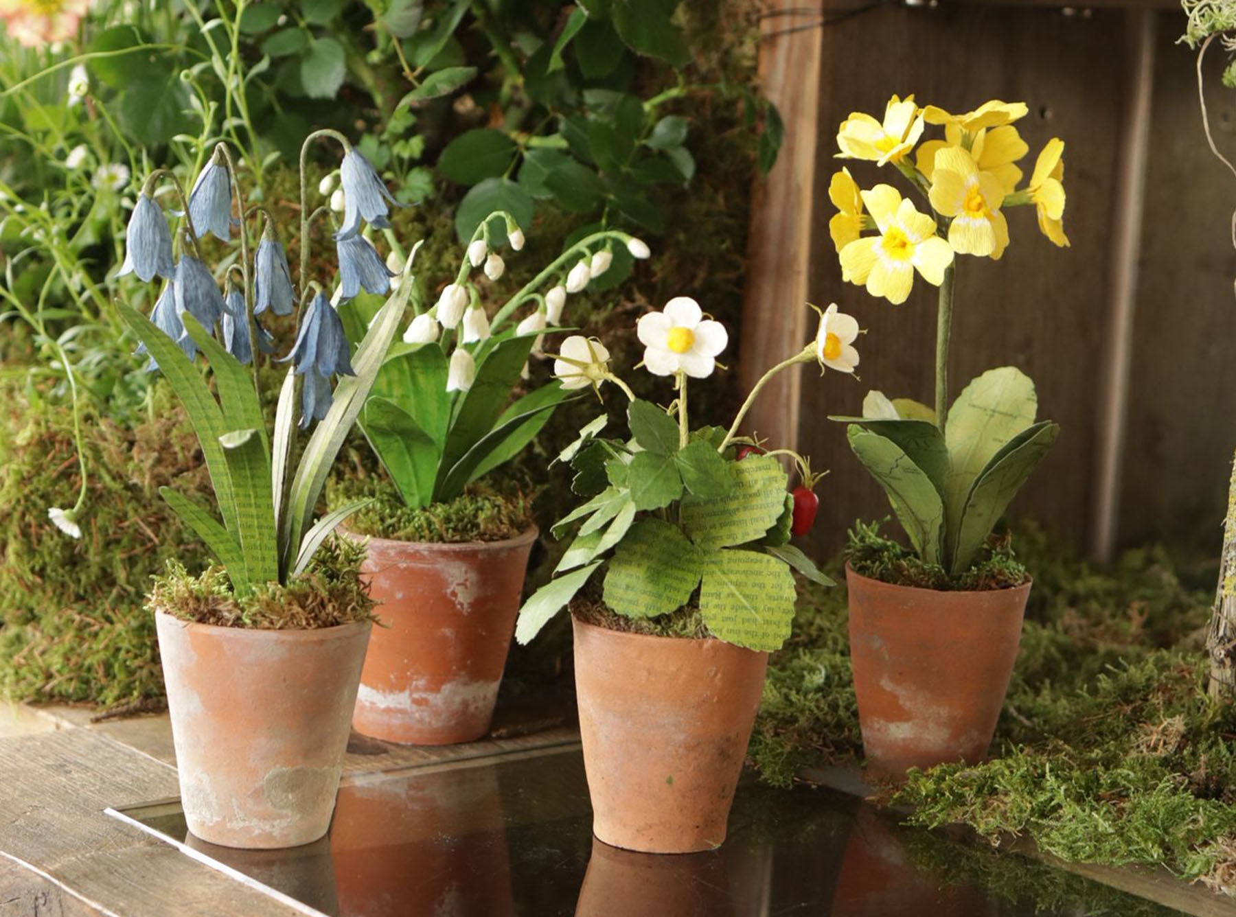 Yellow Primula Paper Flowers & Clay Pot