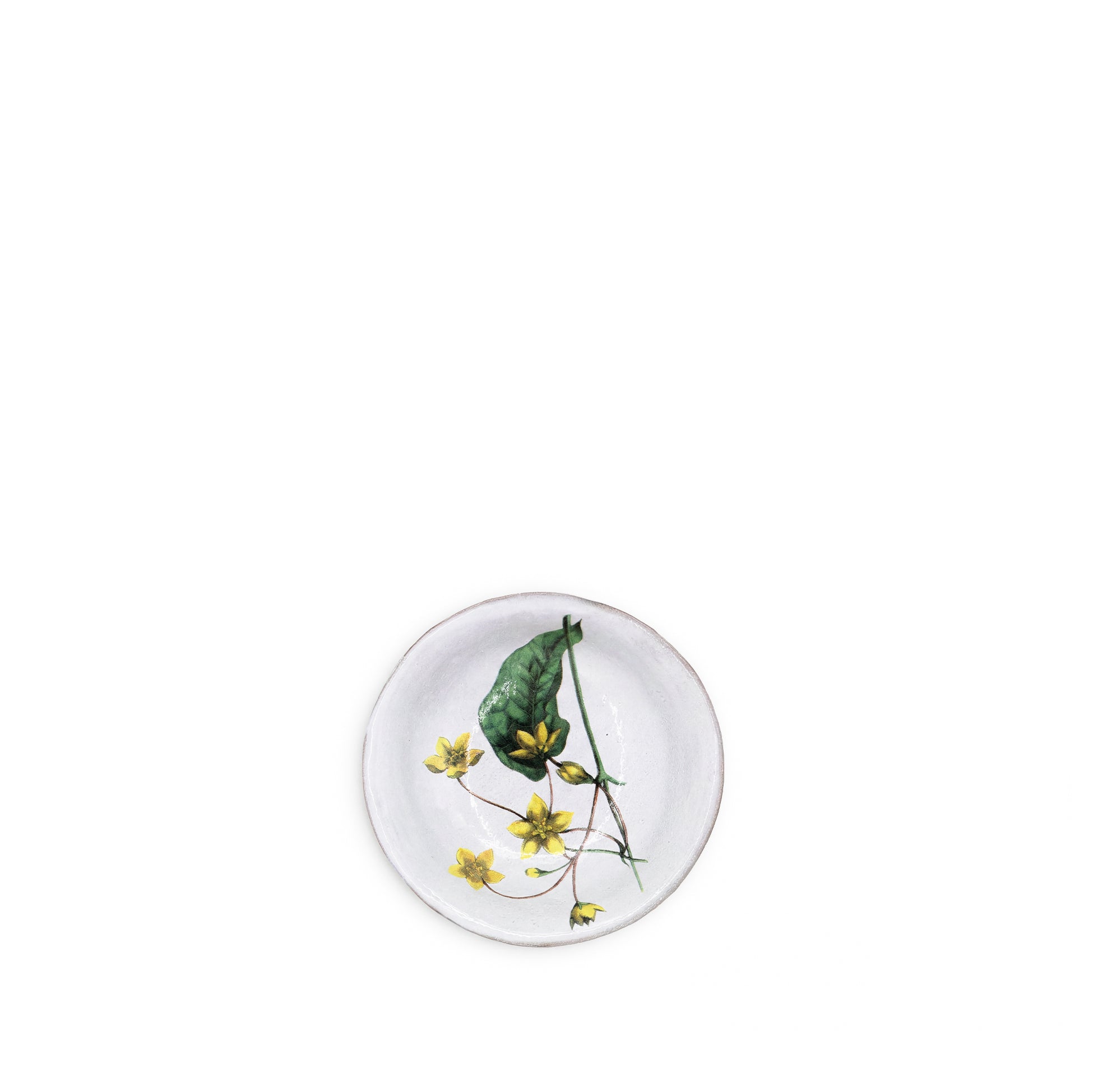 Tylophore Yellow Deep Saucer by Astier de Villatte, 11.5cm