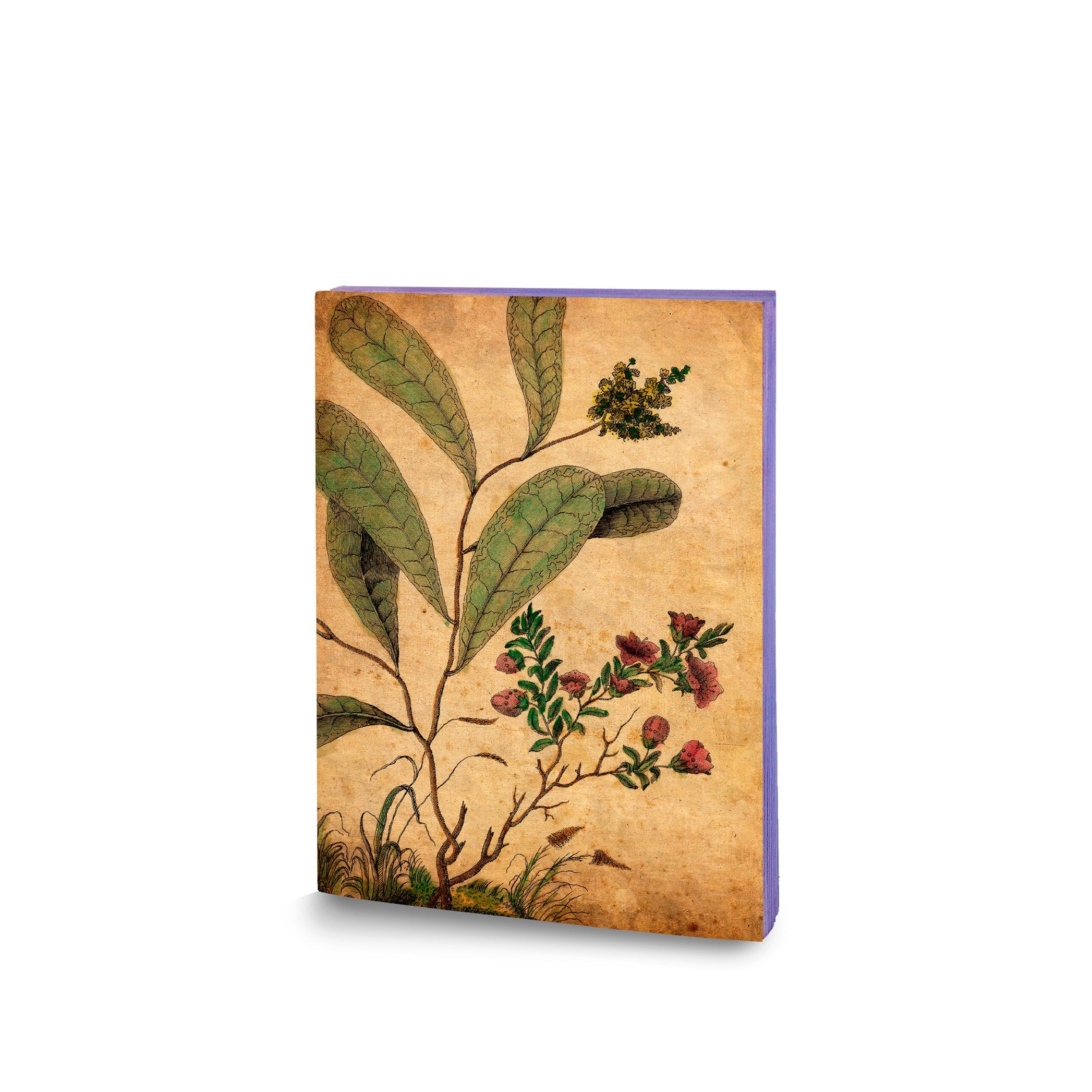 Canvas Notebook Botanical, 15cm x 21cm