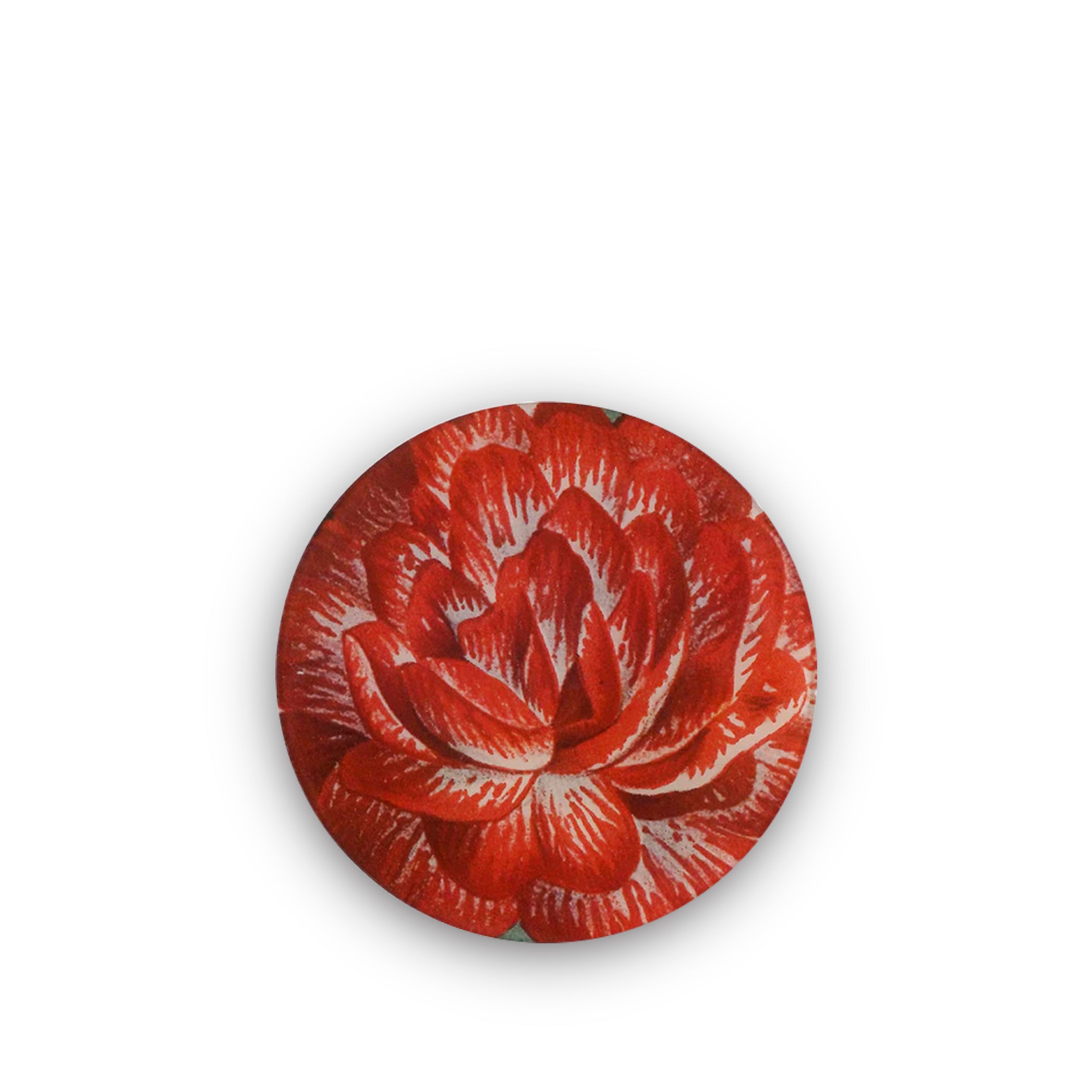 John Derian Round Dianthus D Plate in Red, 20cm