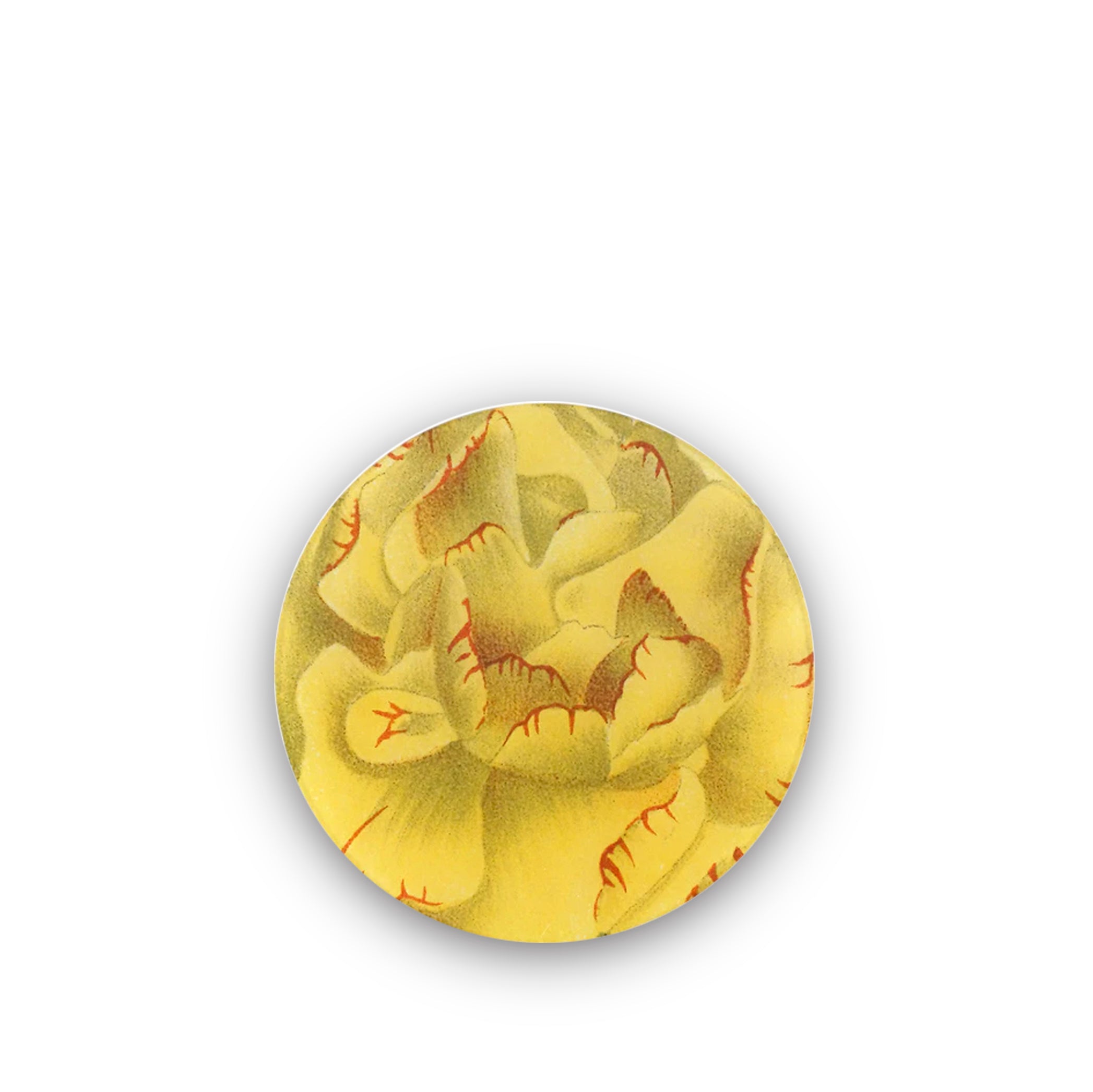 John Derian Round Dianthus G Plate in Yellow, 20cm