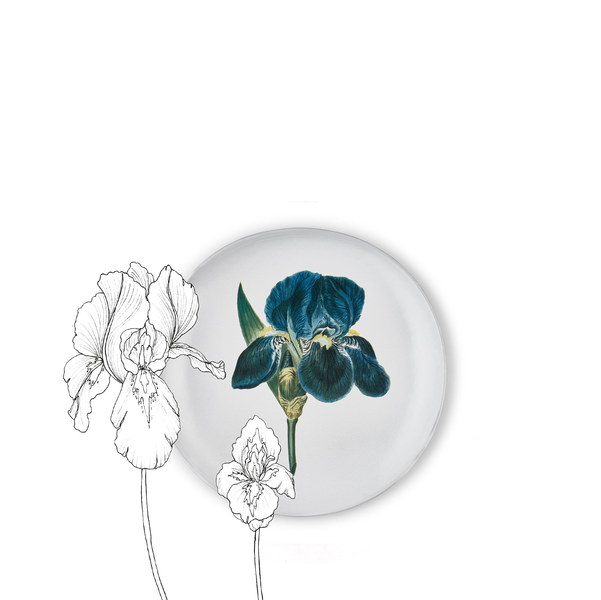 Blue Flower Plate by Astier de Villatte, 26cm