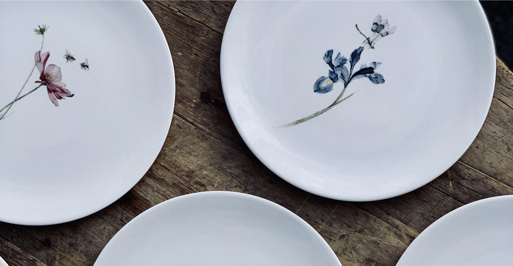 Bloom Anemone Hupehensis Dinner Plate, 25cm