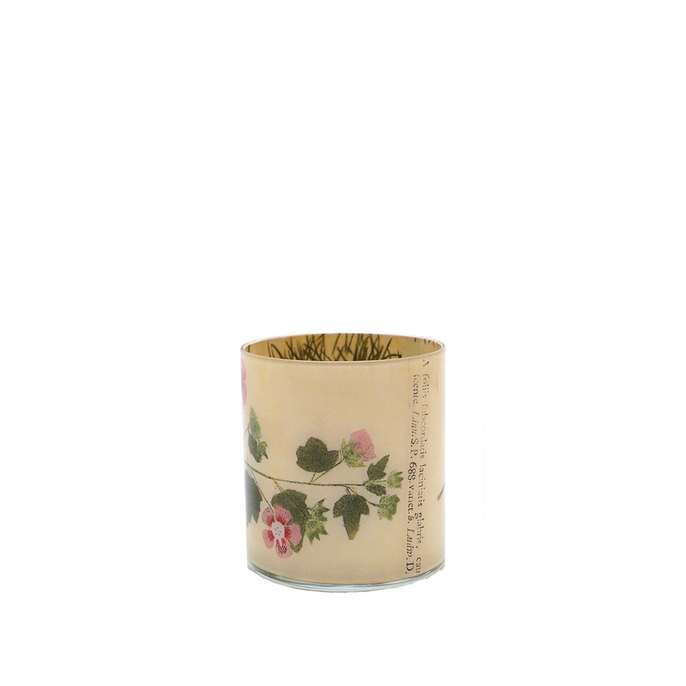John Derian 'Malva' Desk Cup, 10cm