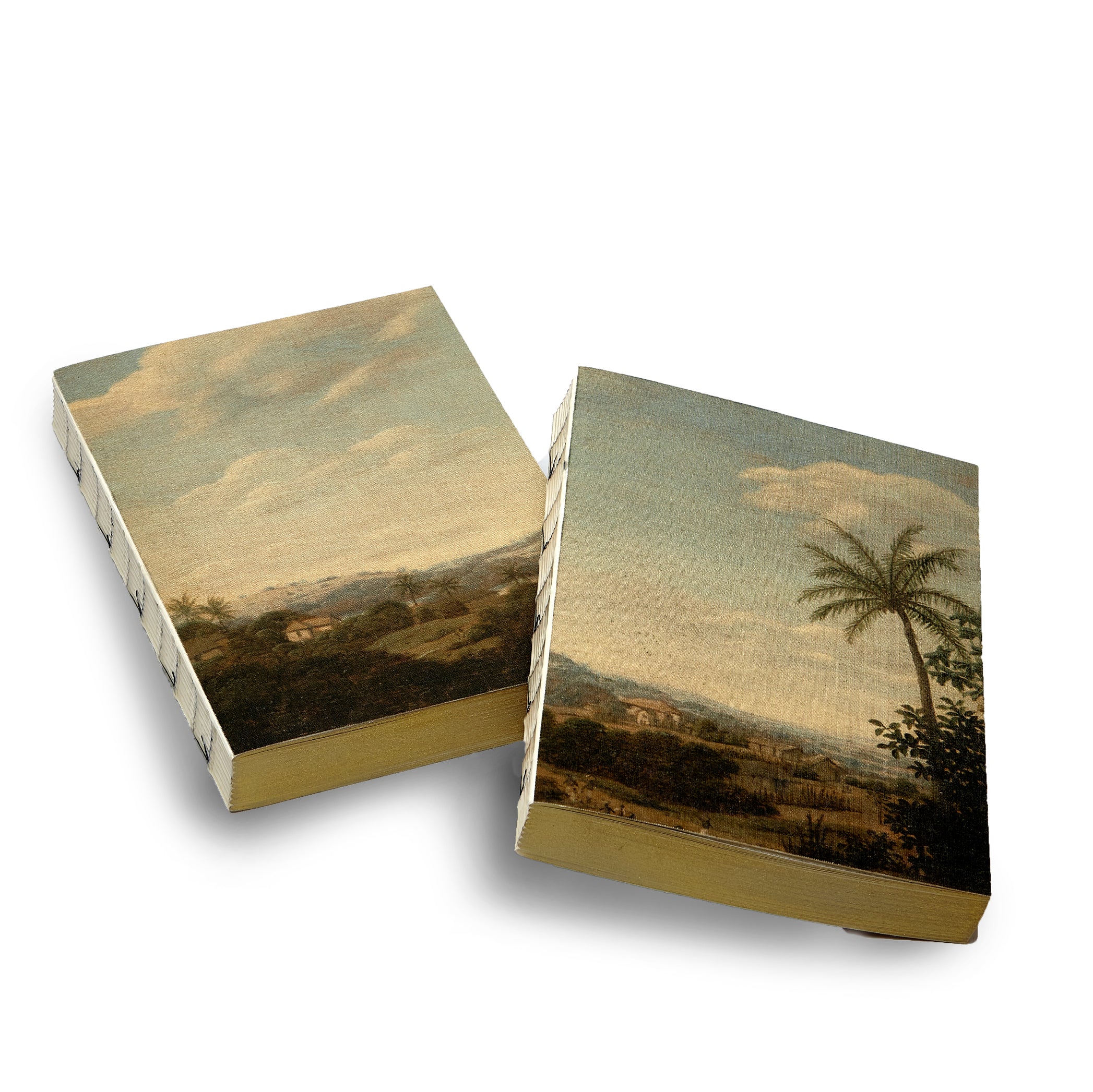 Set of Two Canvas Notebooks Palm Tree, 15cm x 21cm
