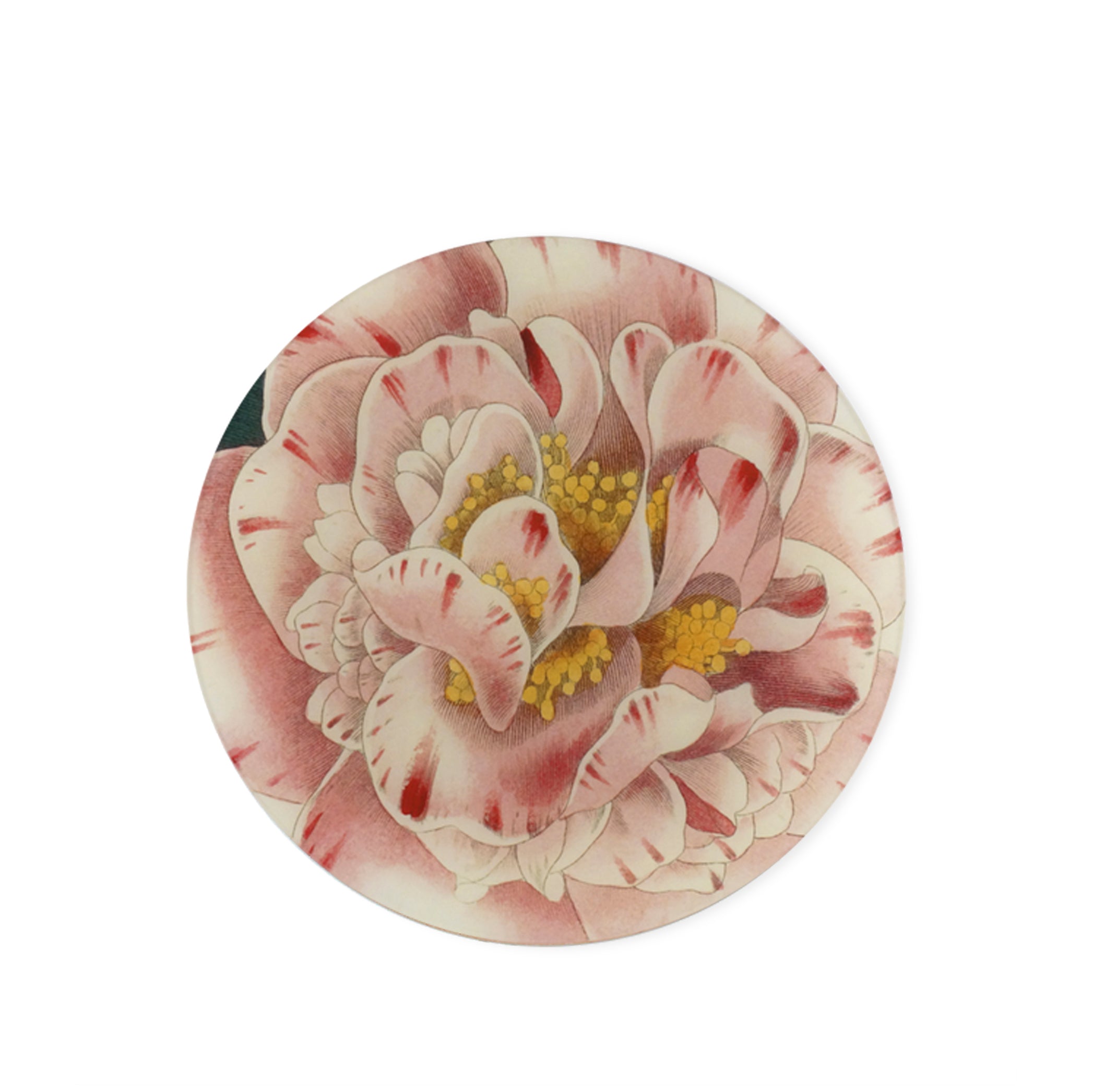 John Derian 'Variegated Camellia' Plate, 28cm