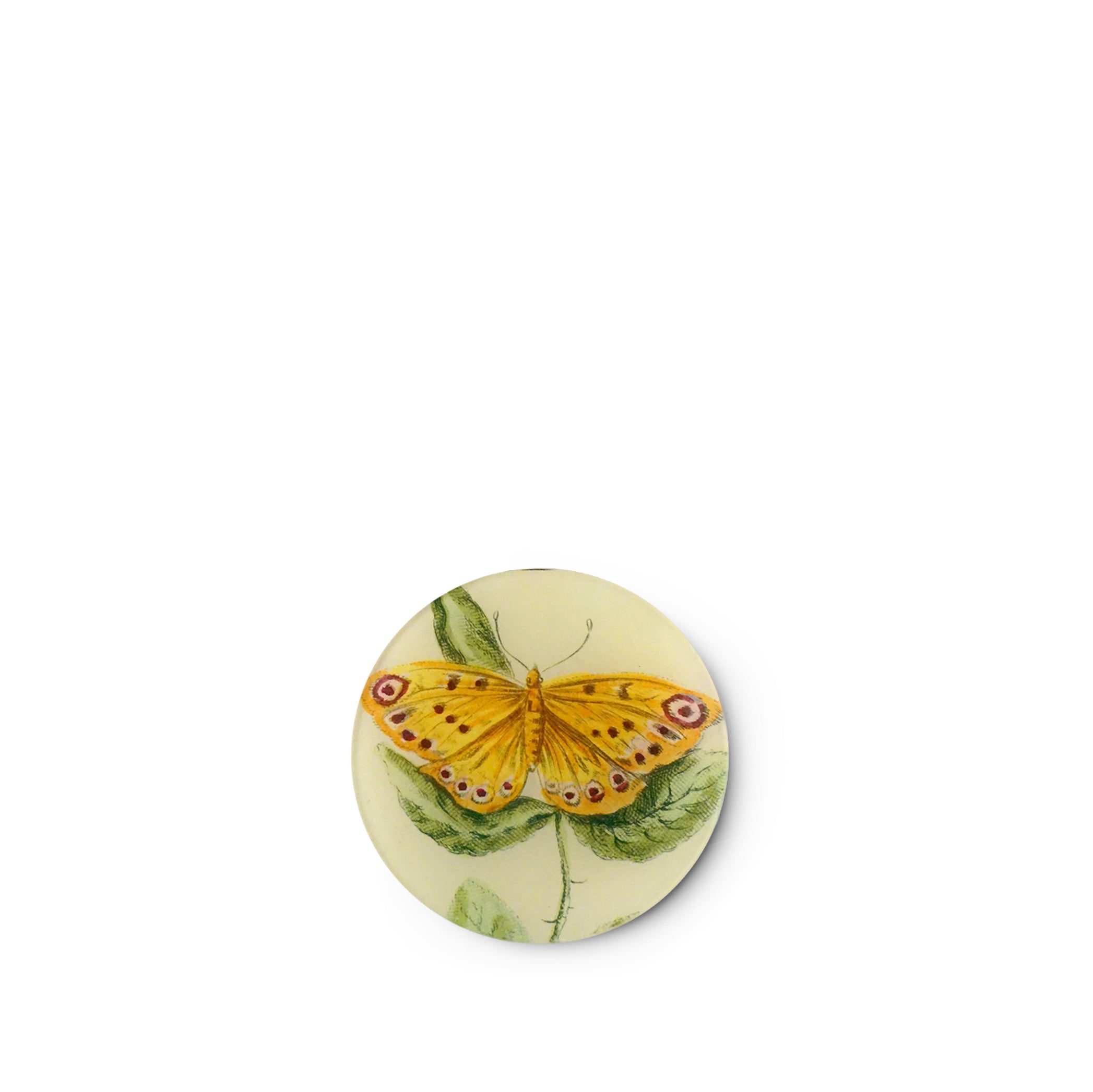 John Derian Yellow Butterfly Round Plate, 13cm