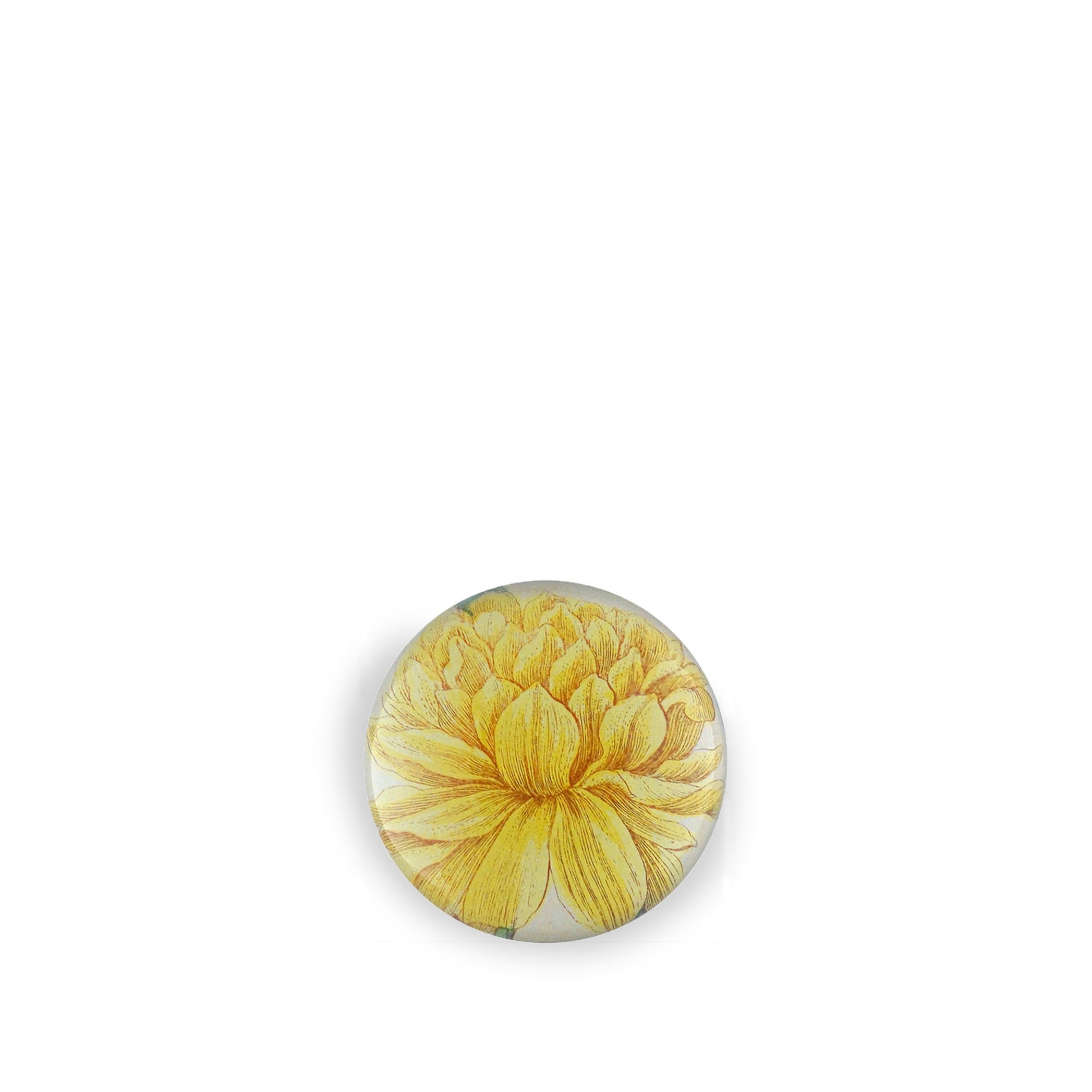 John Derian 'Yellow Narcissus On Stem' Paperweight, 9cm