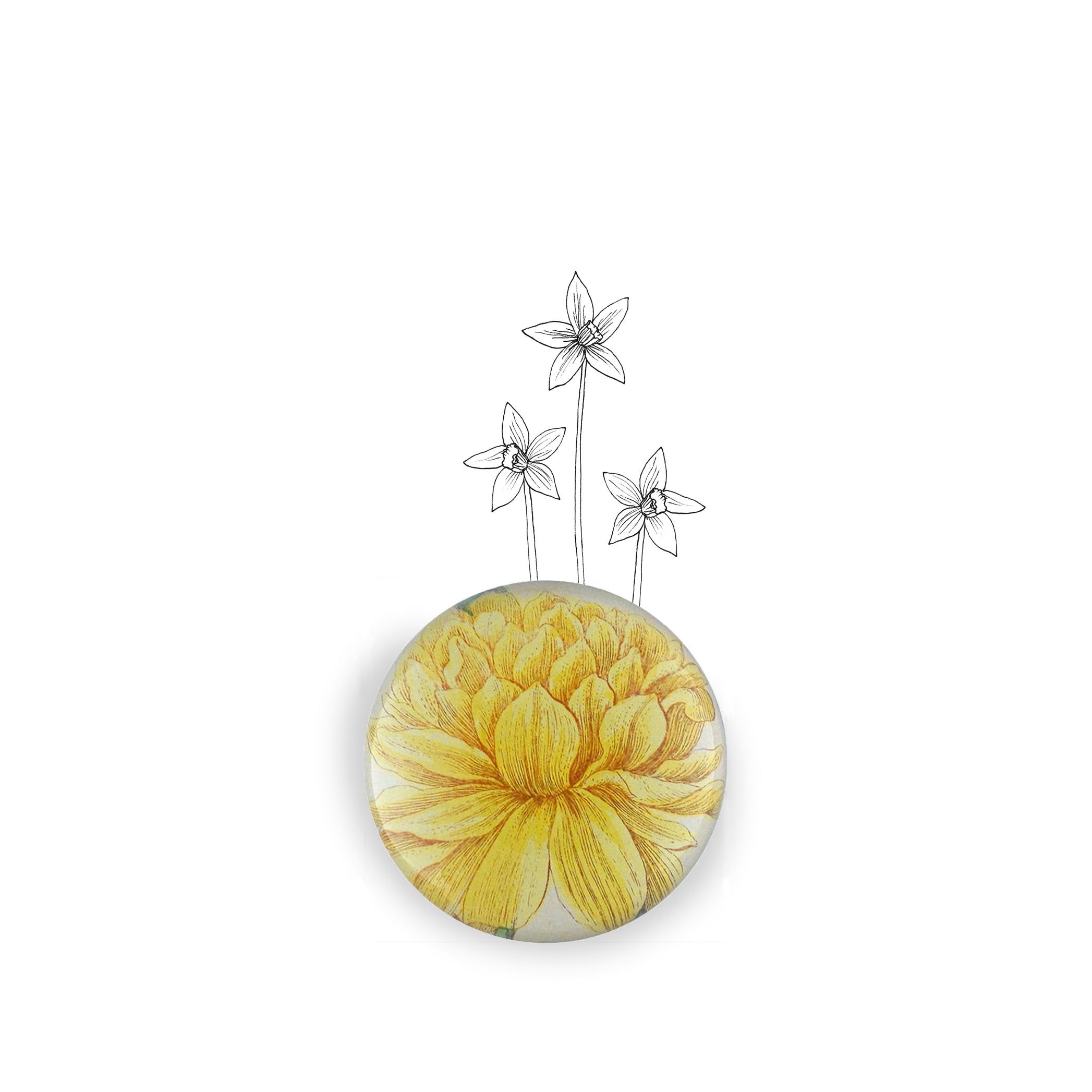 John Derian 'Yellow Narcissus On Stem' Paperweight, 9cm