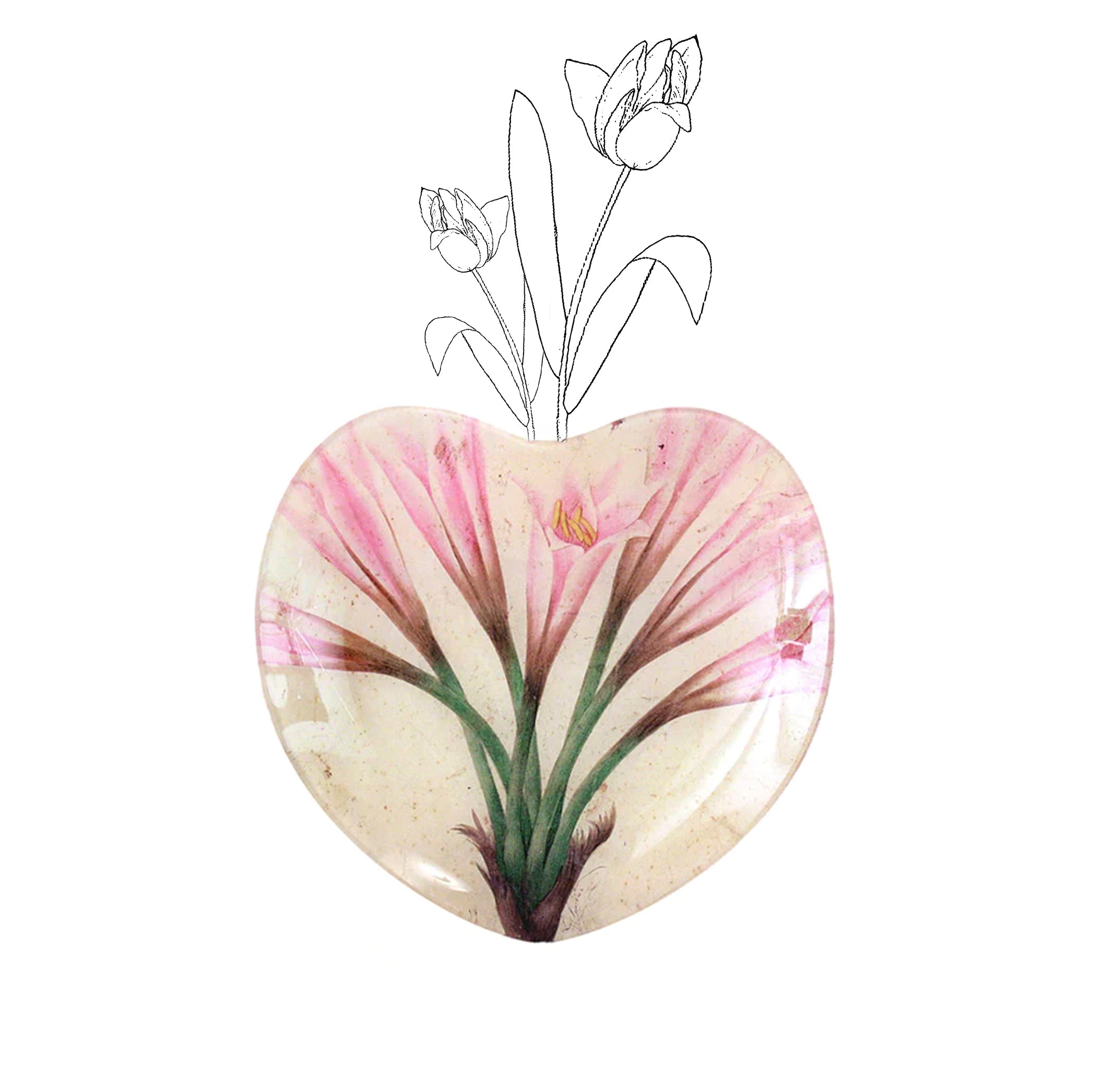 John Derian 'Amaryllis' Heart Dish, 20cm