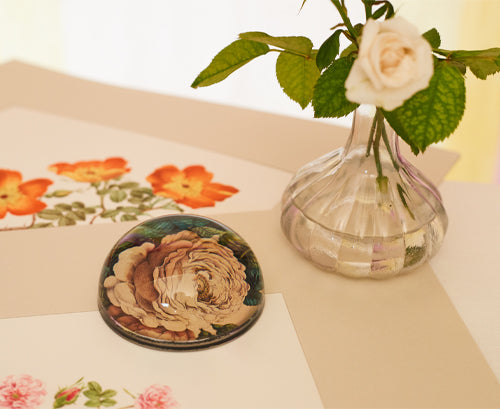 John Derian 'Corsage Star' Paperweight, 11cm