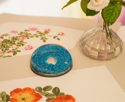 John Derian 'Corsage Star' Paperweight, 11cm