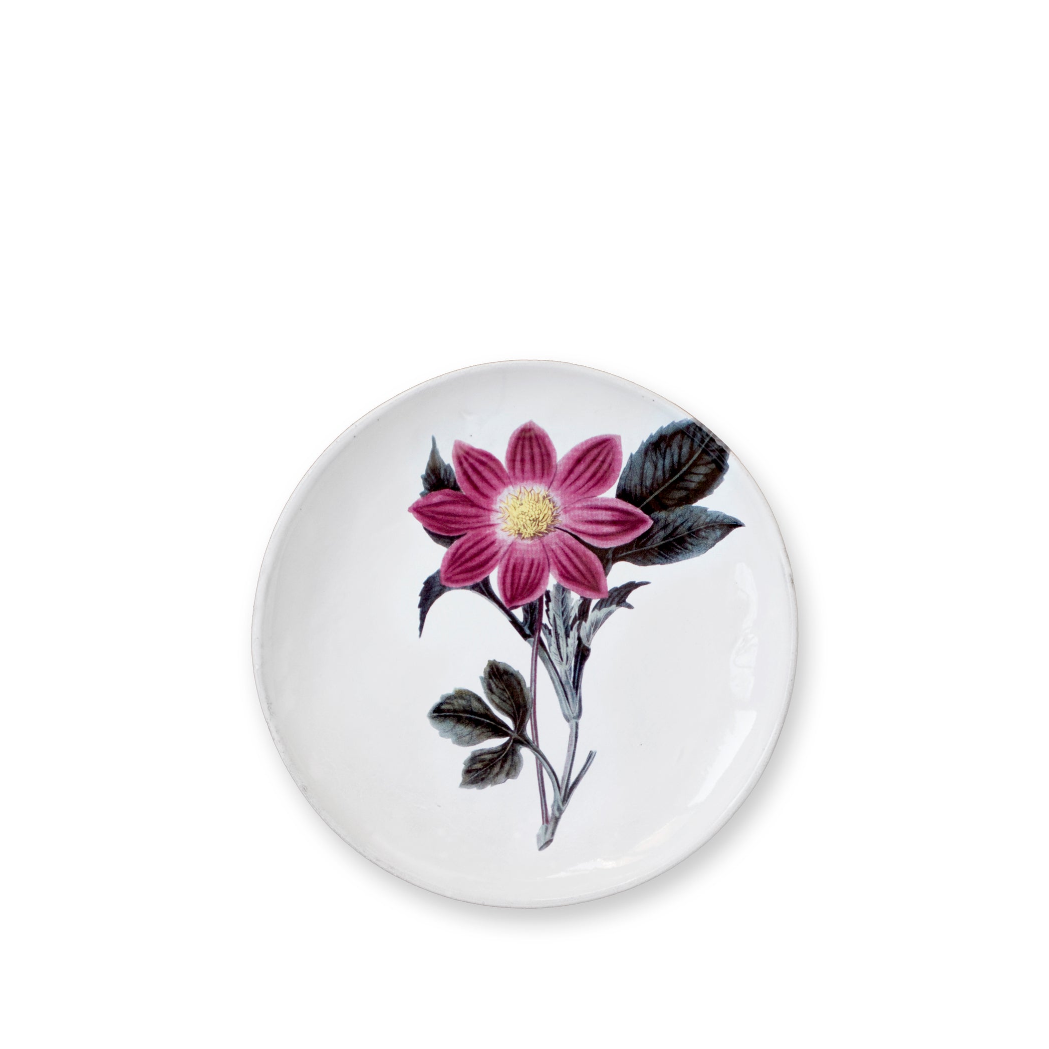 Pink Flower Plate by Astier de Villatte, 26cm