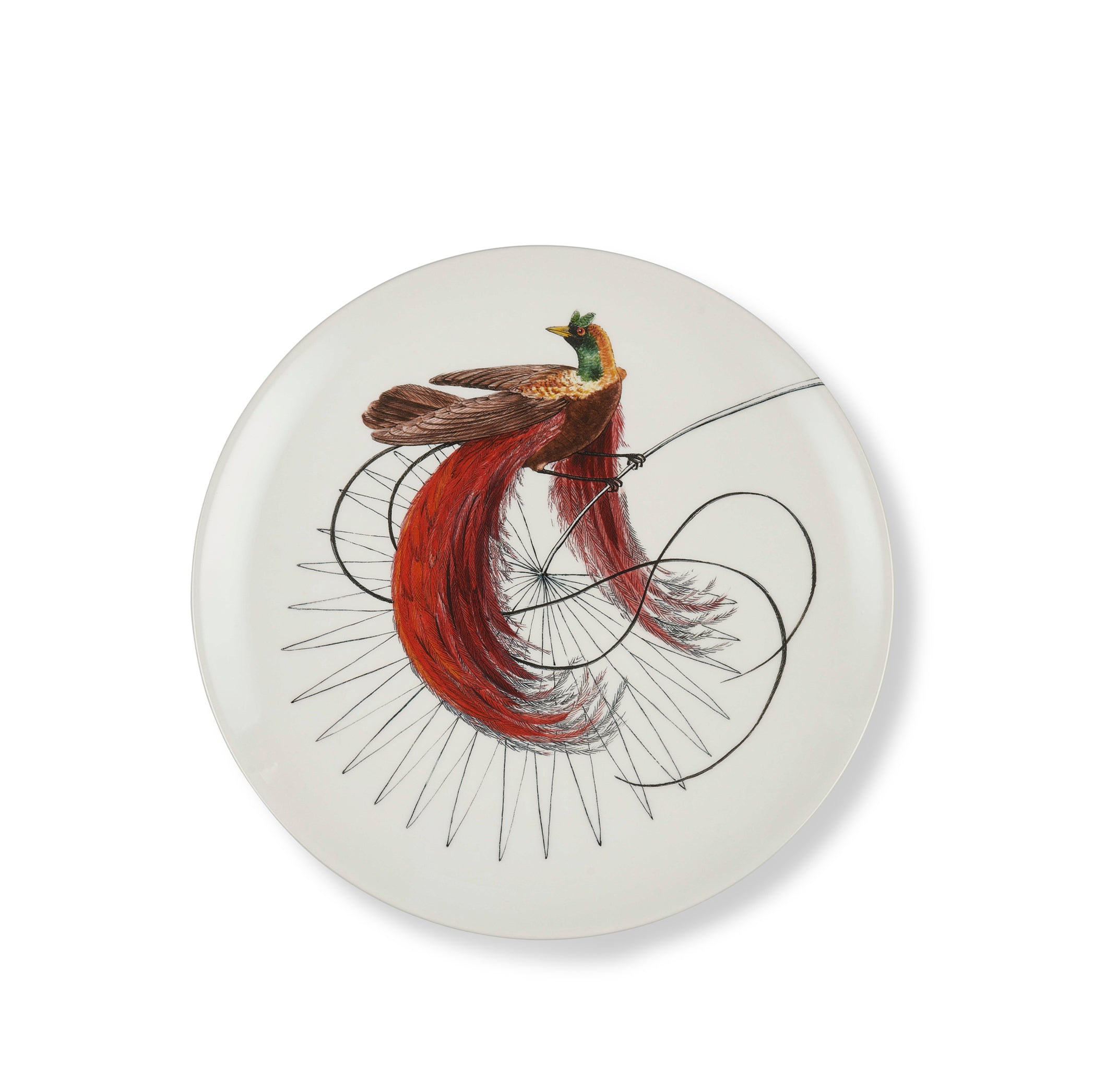 Bird Of Paradise Dinner Plate in White With Red & Brown Bird, 25cm