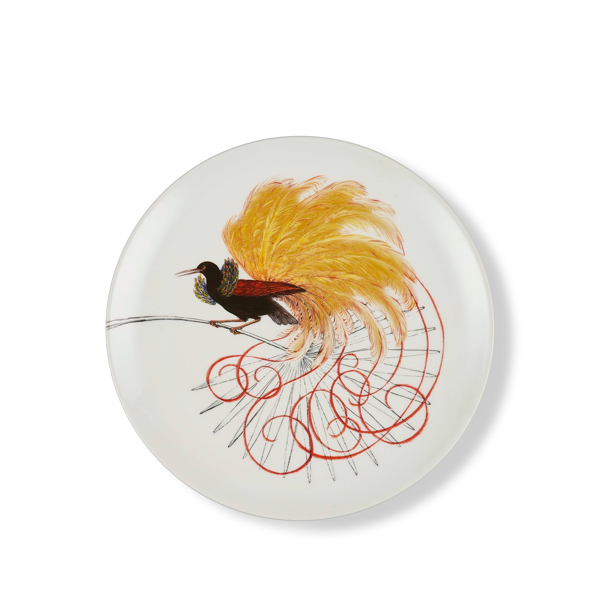 Bird Of Paradise Dinner Plate in White With Yellow & Black Bird, 25cm