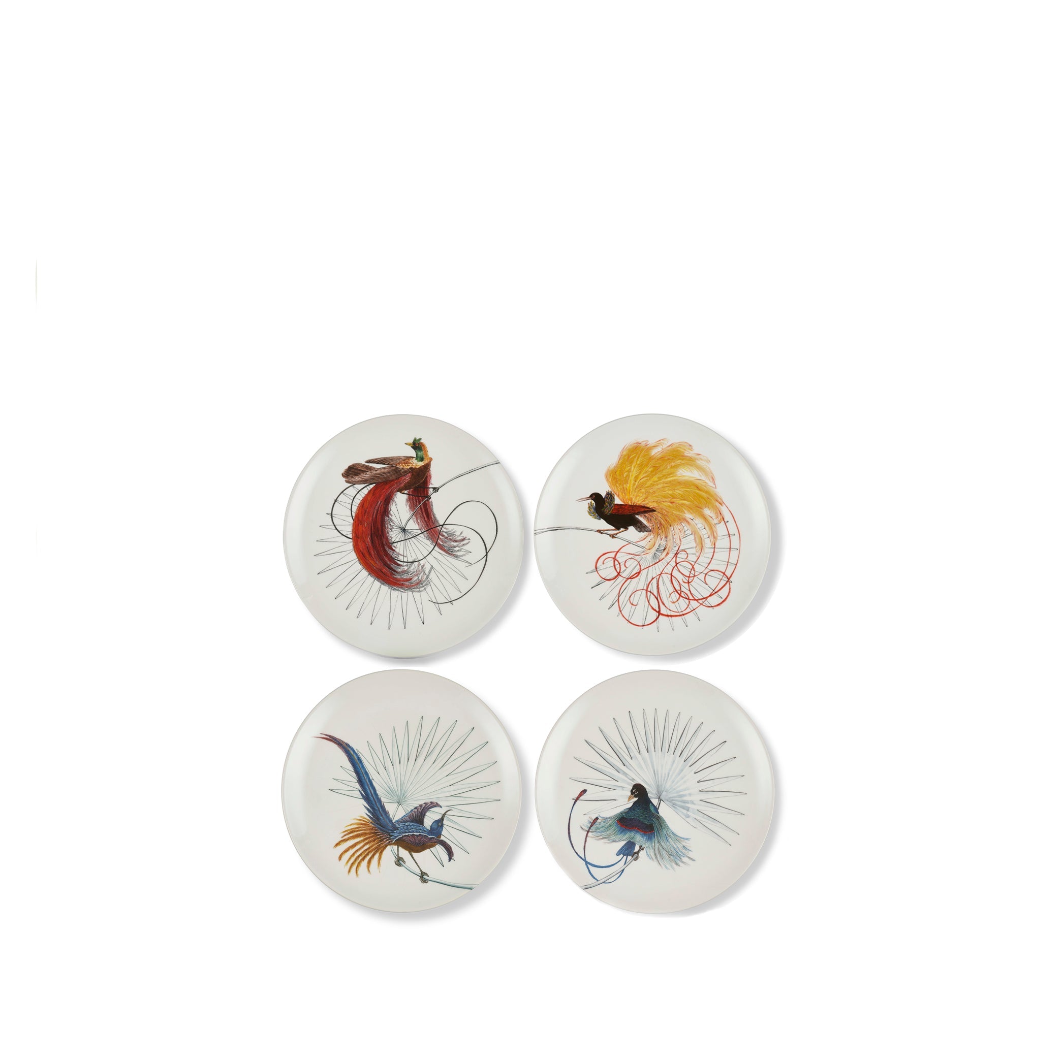Bird Of Paradise Dinner Plate in White With Yellow & Black Bird, 25cm